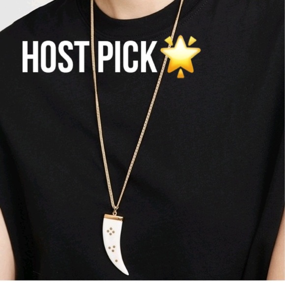 Isabel Marant Jewelry - Isabel Marant Long Horn Necklace🌟